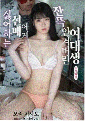 售后条款阅读示意